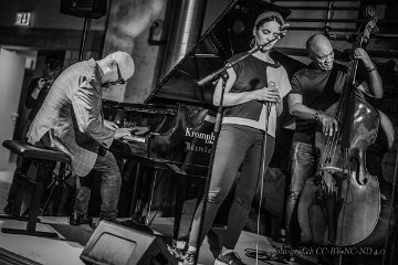 20240722-202129 : 01_Montag, Instagram, JNL_24, Jazz-Nights, Jazz-Nights 2024, Wetransfer