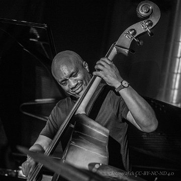 Jazz Nights 2024