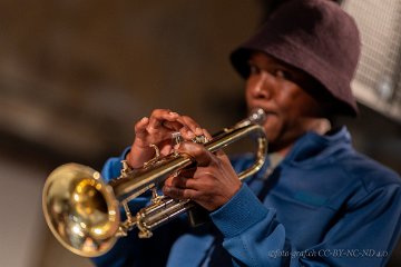 20240726-005709 : Instagram, Jazz-Nights, Jazz-Nights 2024